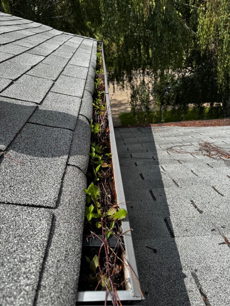 Gutter & Downspout Cleaning before