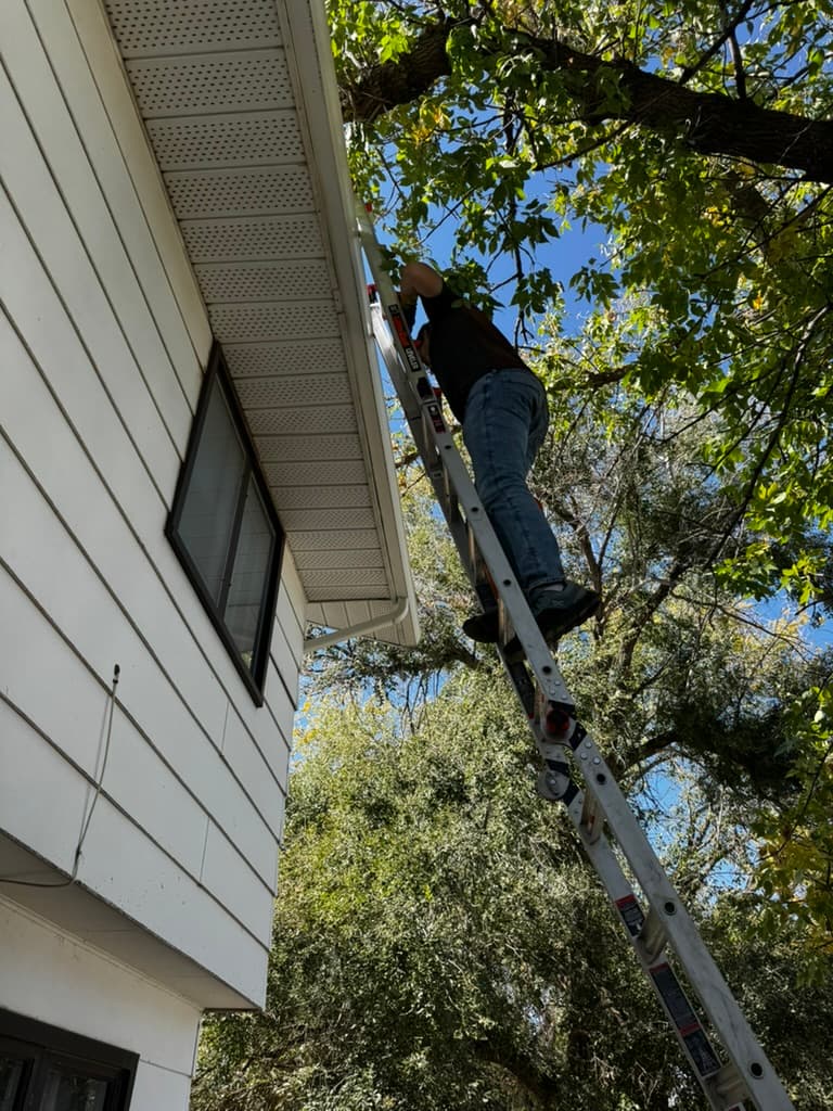 Gutter cleaning service